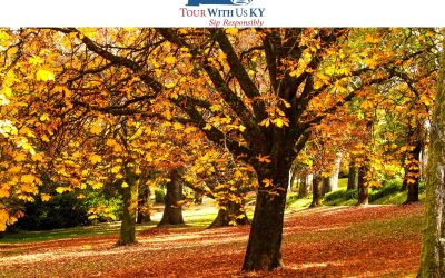 Exploring the Flavors of Fall Along Kentucky’s Bourbon Line